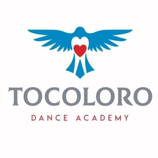 Tocoloro Dance Academy. Vracar Urban Municipality