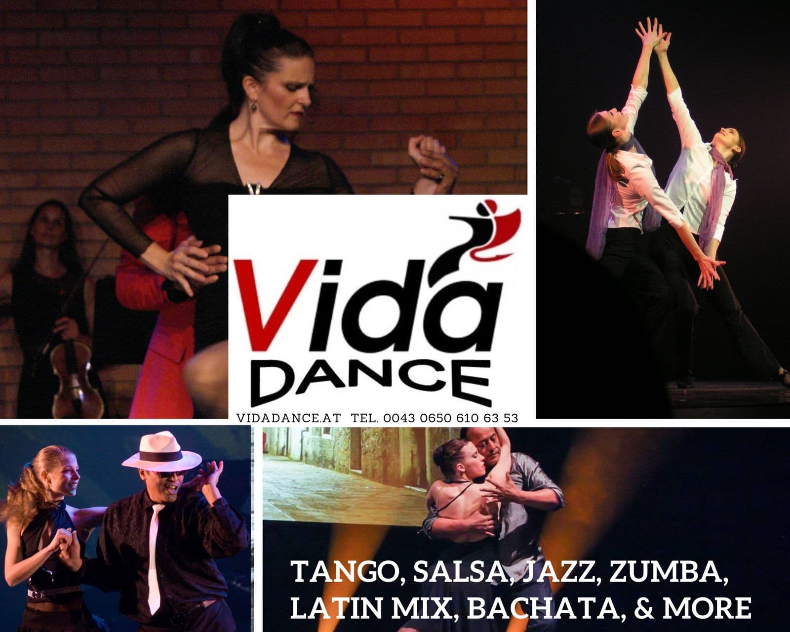 VIDA - Latin Art & Music Studio. Wien