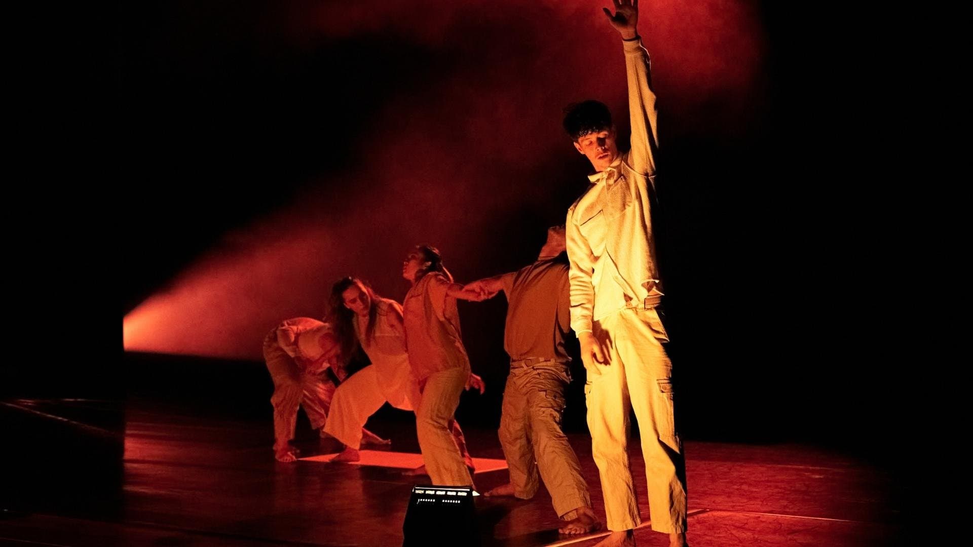 Tarrant Dance Studios. Wellington