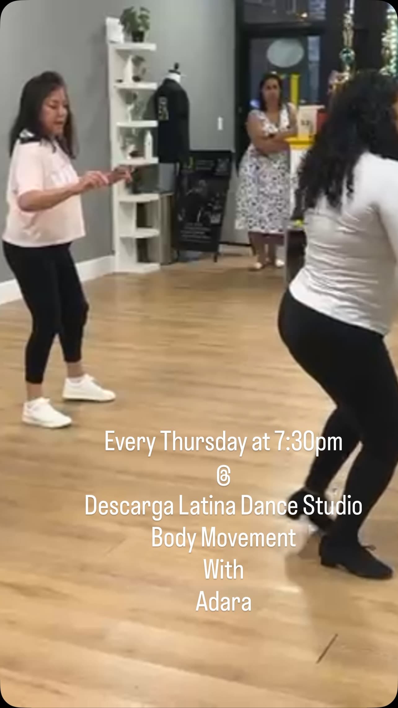 Descarga Latina. Mount Vernon, NY