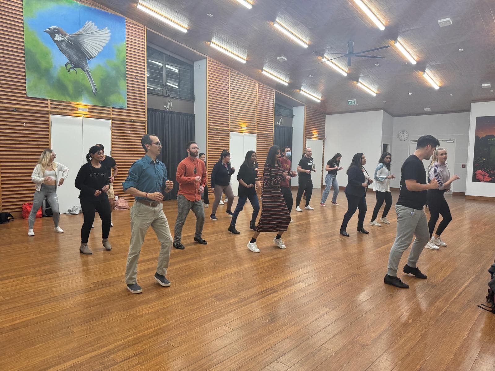 KD Dance - Latin Dance School. Auckland, AUCKLAND